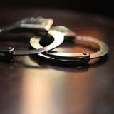 今年落马的第二“虎”被捕，新罪名首次披露！被查后亲弟弟失联 ...